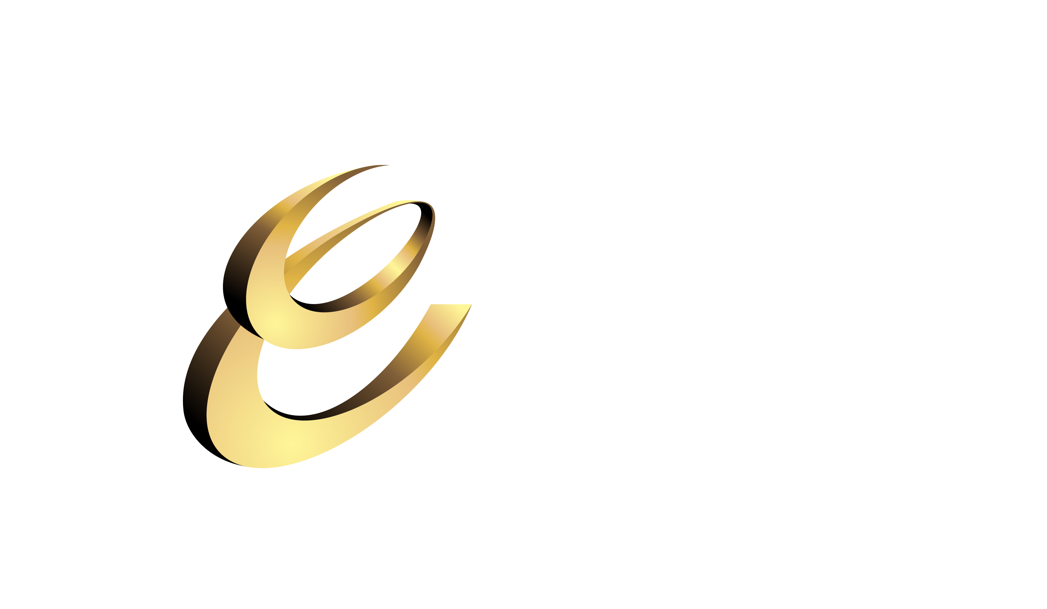 Emerging Enterprise Awards logo